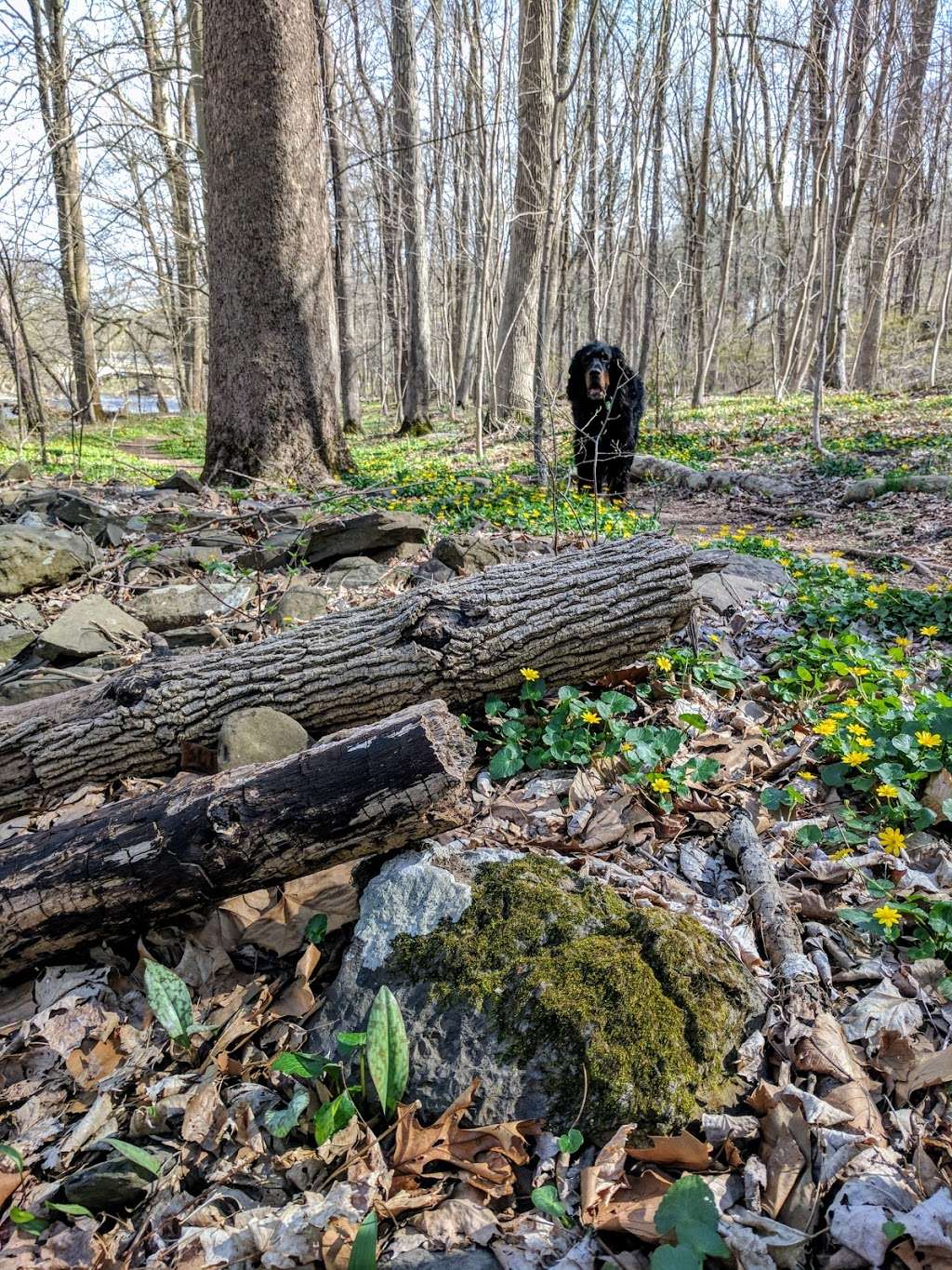 Point Pleasant Community Park | Pipersville, PA 18947, USA