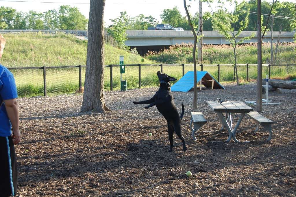 Bos Run Dog Park | 3600 Lexington Dr, Hoffman Estates, IL 60192, USA | Phone: (847) 285-5440