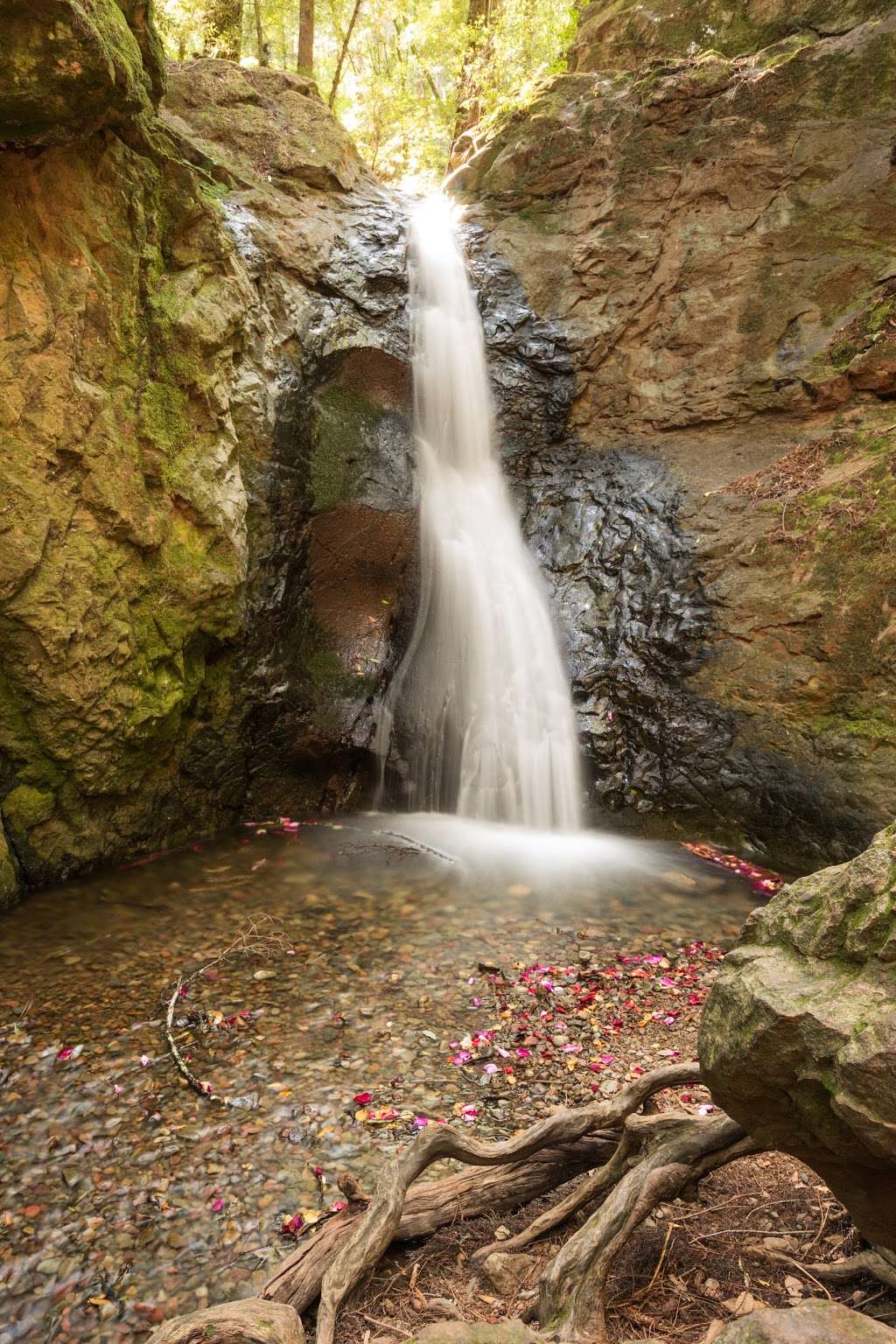 Cascade Falls | Cascade Falls Trail, Fairfax, CA 94930, USA | Phone: (571) 608-2147