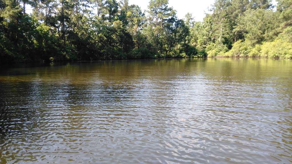 Good News Baskets & Gifts | 1272 Shellee Dr, Conroe, TX 77303, USA | Phone: (936) 718-7585