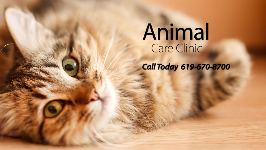 Animal Care Clinic | 2650 Jamacha Road # 159, El Cajon, CA 92019, USA | Phone: (619) 670-8700