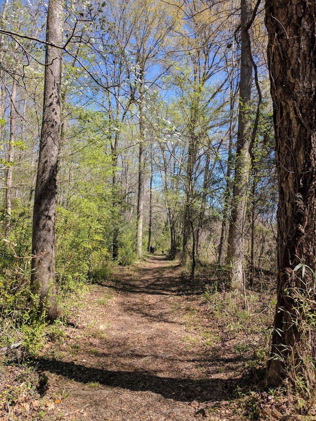 Catawba River Yehasuri Trailhead | 1523-1599 Tom Steven Rd, Rock Hill, SC 29730, USA