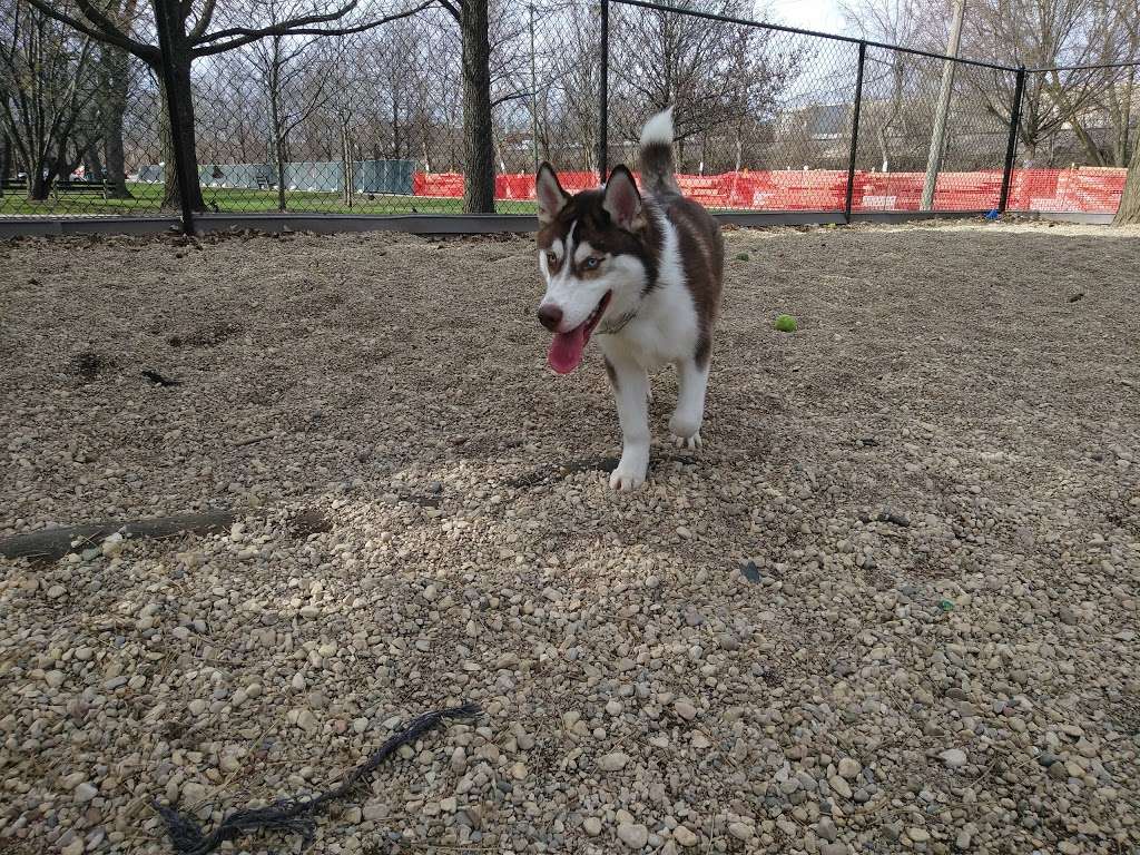 Norwood Park Dog Friendly Area | 5850 N Avondale Ave, Chicago, IL 60631, USA