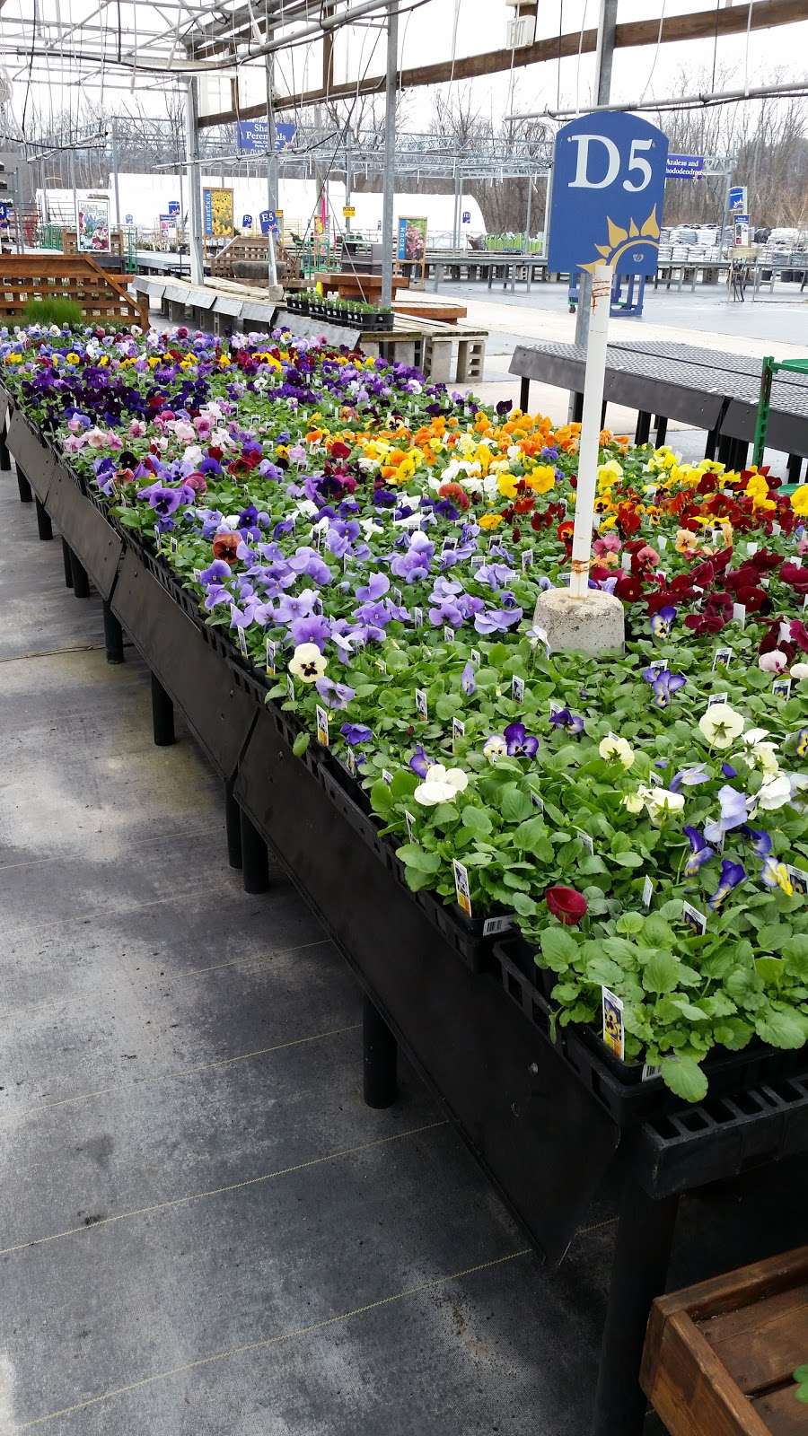 Stauffers of Kissel Hill Home & Garden Store - East York Locatio | 4450 Lincoln Hwy, York, PA 17406 | Phone: (717) 840-4026