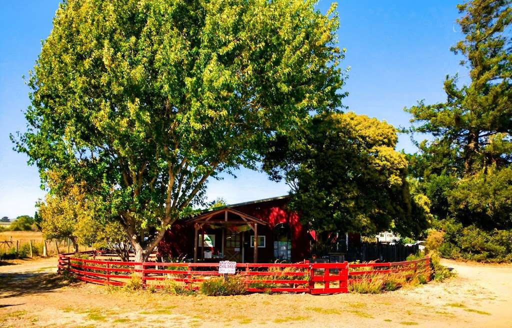 Red Barn Montessori | 3820 Bodega Ave, Bldg A, Petaluma, CA 94952, USA | Phone: (707) 789-9397
