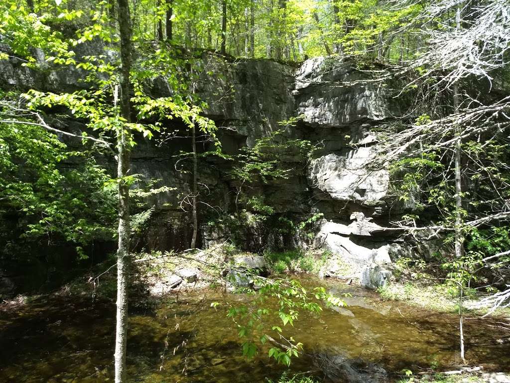 Tusten Mountain Trail | Narrowsburg, NY 12764, USA