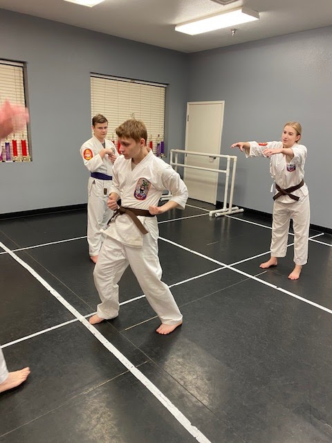 Texas Isshinryu Karate Kai Flower Mound, 2500 Northshore Blvd, Flower