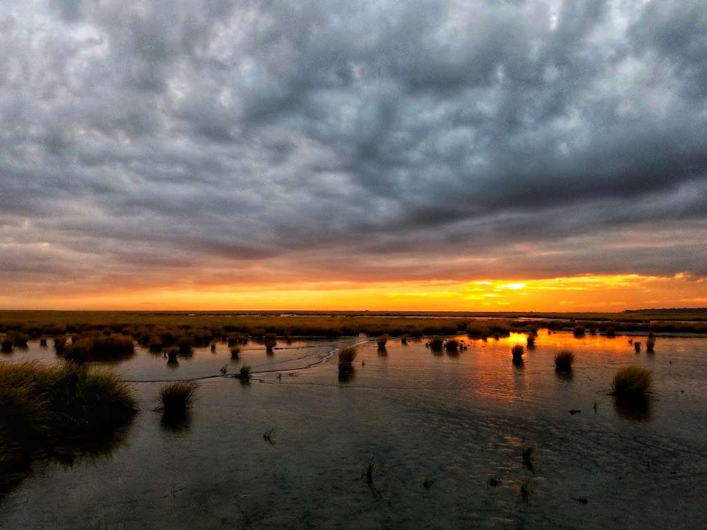 Commercial Township Wetlands Restoration Site | 75°0211.5"W, 391401 1st Ave, Callahan, FL 32011