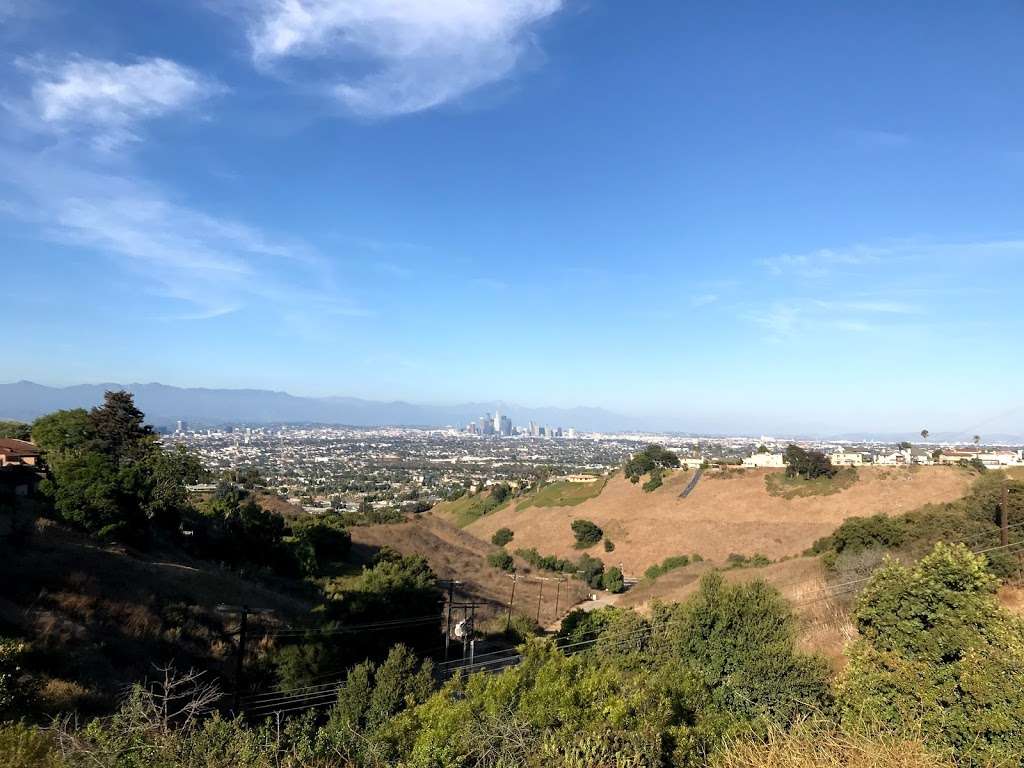 Dr. Martin Luther King, Jr. Memorial Tree Grove | 4100 S La Cienega Blvd, Los Angeles, CA 90056, USA