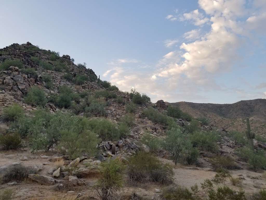 Las Lomitas Trail | Las Lomitas, Phoenix, AZ 85042