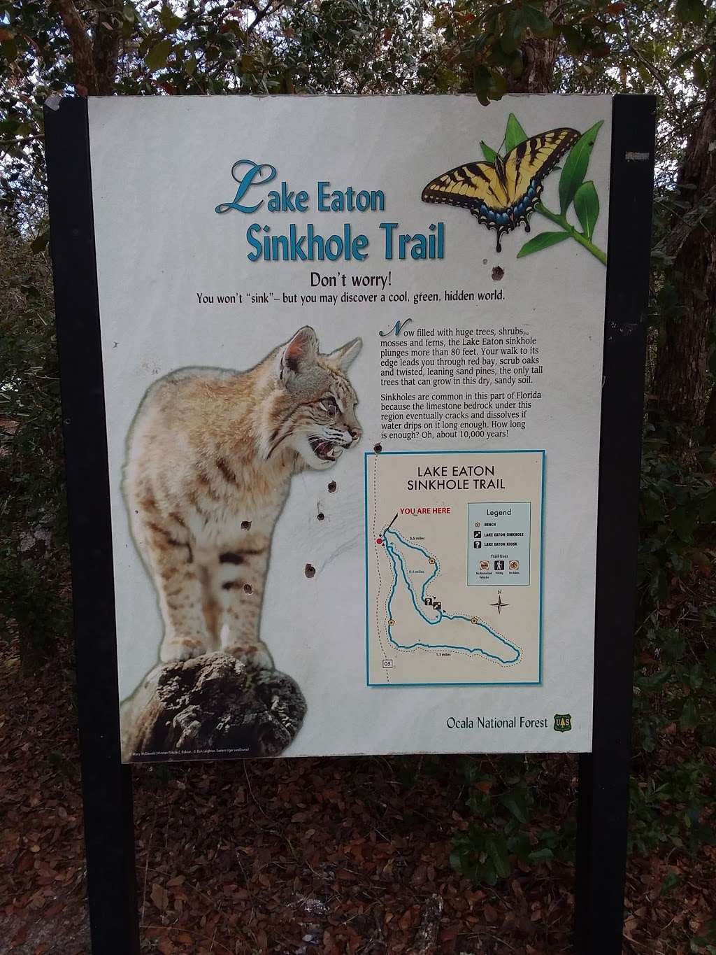 Lake Eaton Trail Head | Silver Springs, FL 34488, USA