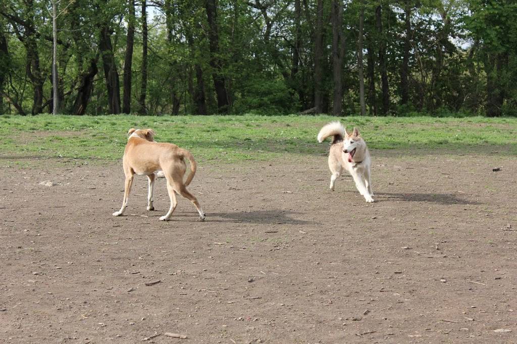 Frick Park Off-Leash Exercise Area | Pittsburgh, PA 15217 | Phone: (412) 255-2539
