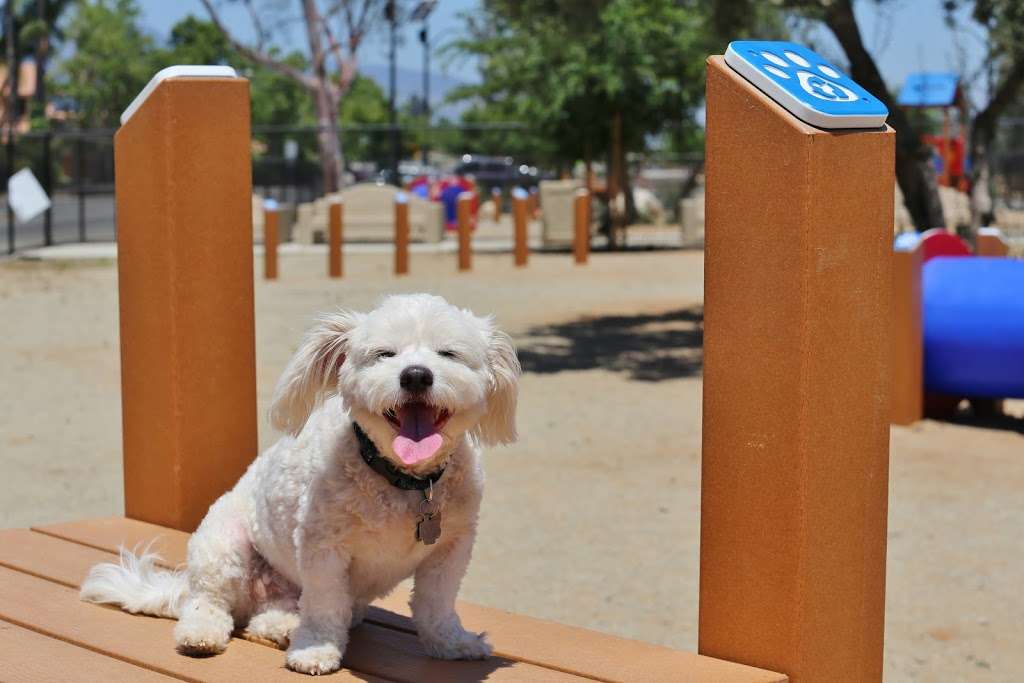 Serenity Dog Park | 370120045, Lake Elsinore, CA 92530, USA