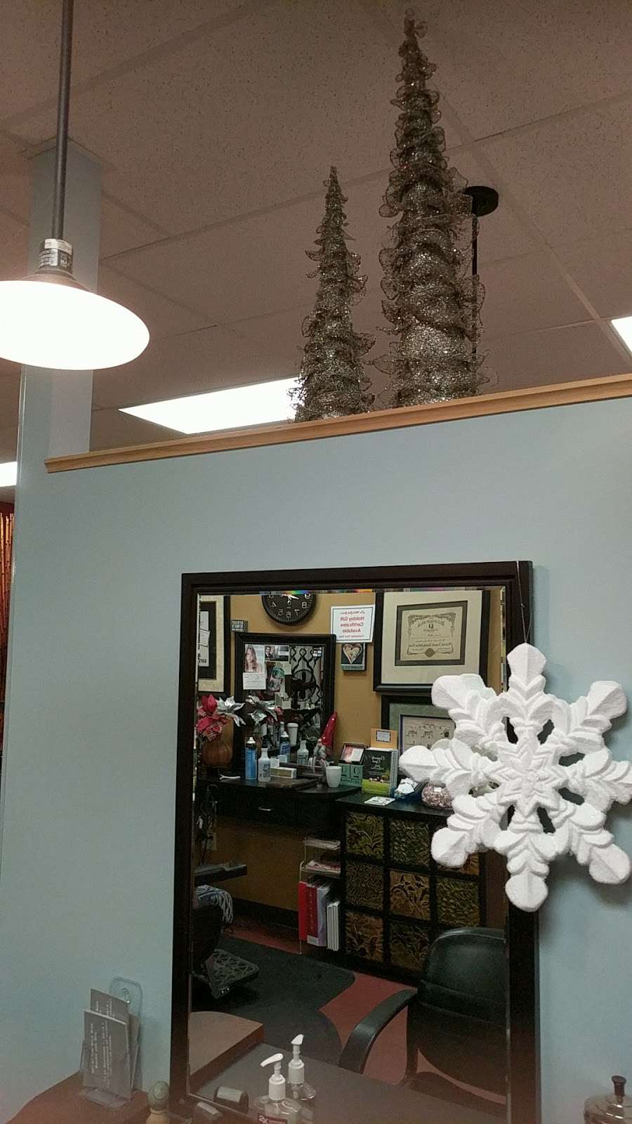 Wild Side Salon | 13300 Watertown Plank Rd, Elm Grove, WI 53122, USA | Phone: (262) 784-9453