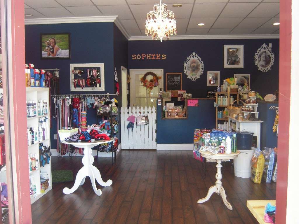 Sophies Wags to Whiskers | 20687 Amar Rd #7, Walnut, CA 91789 | Phone: (909) 594-4092