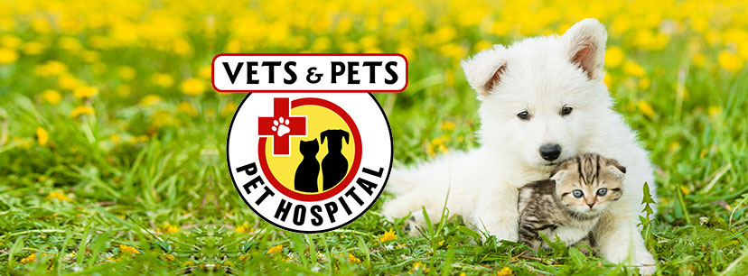 Vets & Pets Pet Hospital | 554 Charles Town Rd, Martinsburg, WV 25405 | Phone: (304) 350-1734