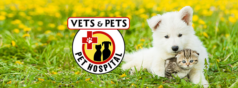 Vets & Pets Pet Hospital | 554 Charles Town Rd, Martinsburg, WV 25405, USA | Phone: (304) 350-1734