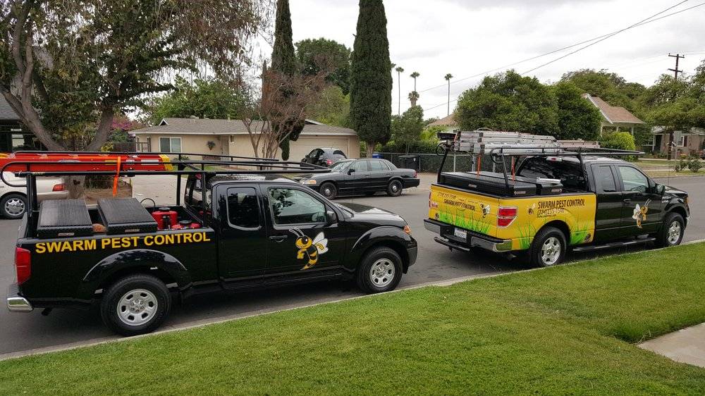 Swarm Pest Control | 2105 Jetty Cir, Santa Ana, CA 92706, USA | Phone: (714) 235-7548