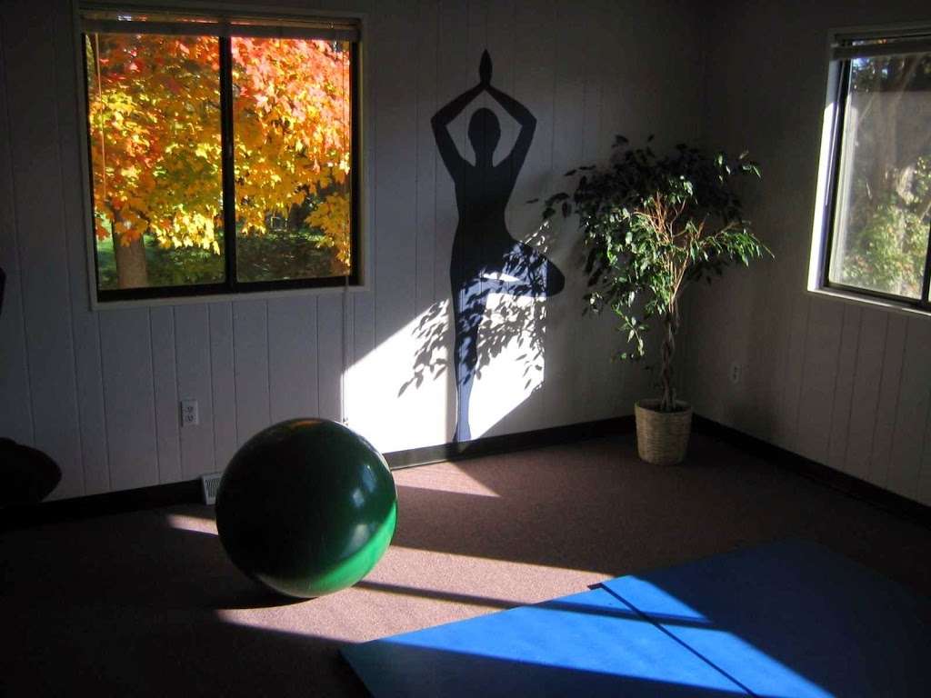 Wholistic Physical Therapy | 1591 NY-22, Brewster, NY 10509, USA | Phone: (845) 940-1050