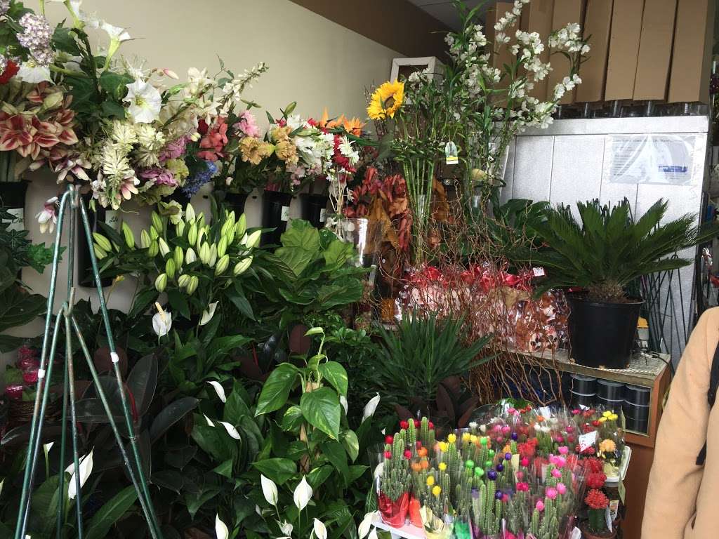 Anyutas Flowers | 3102 Avenue U, Brooklyn, NY 11229, USA | Phone: (718) 676-6742