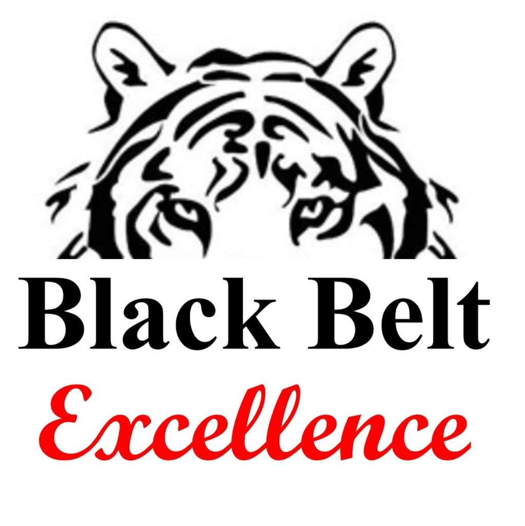 Black Belt Excellence Taekwondo | 32303 Tamina Rd, Magnolia, TX 77354, USA | Phone: (281) 789-4009