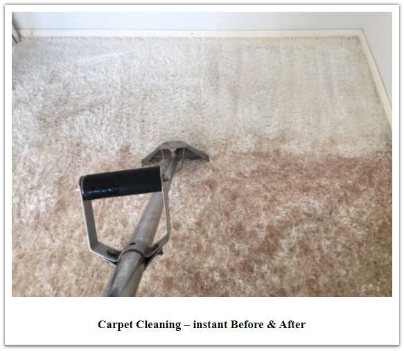 Brielles Rug Cleaning | 6 Horizon Rd Suite 1201, Fort Lee, NJ 07024 | Phone: (800) 518-9648