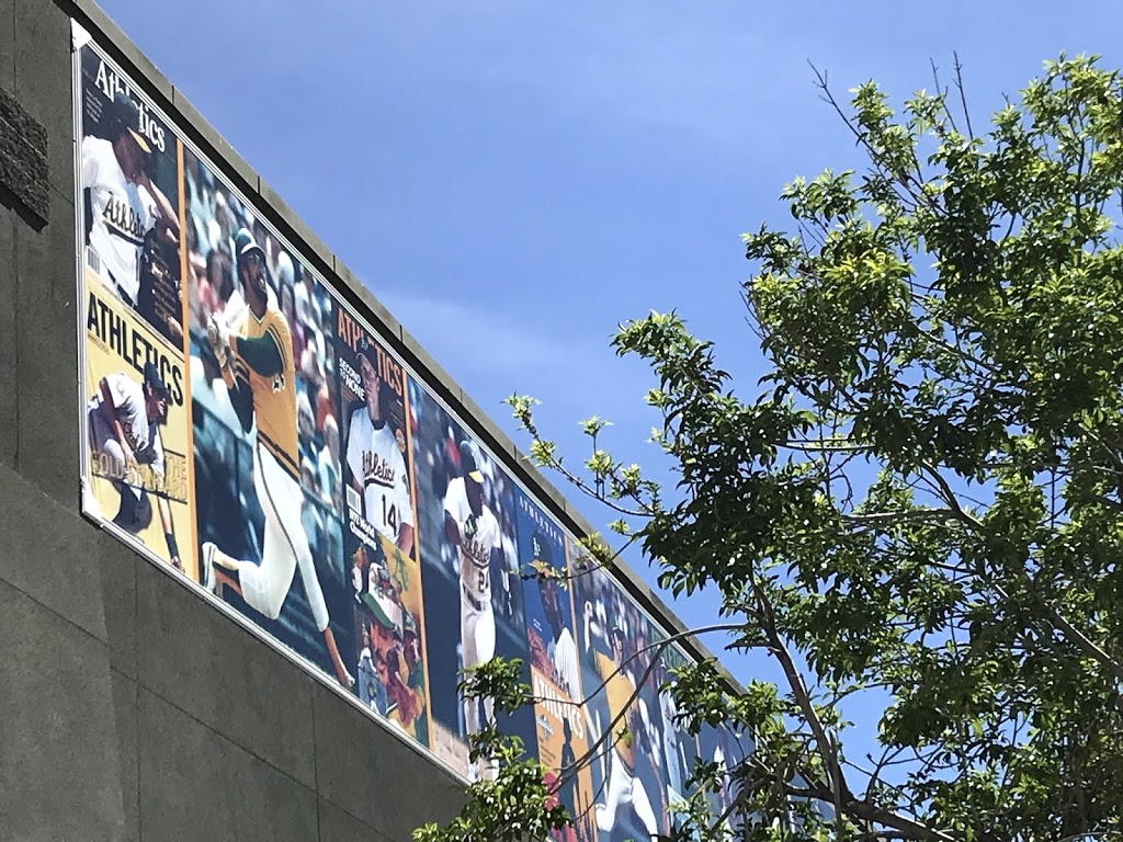 Danny Lee Golf Instruction | 6700 E Carson St, Long Beach, CA 90808, USA | Phone: (562) 260-4678