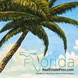 Florida Real Estate Pros | 120 Flagler Ave, New Smyrna Beach, FL 32169, USA | Phone: (386) 527-5357
