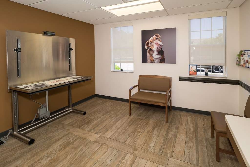 VCA Delaware Valley Animal Hospital | 183 Bristol Oxford Valley Rd, Langhorne, PA 19047 | Phone: (215) 946-1111