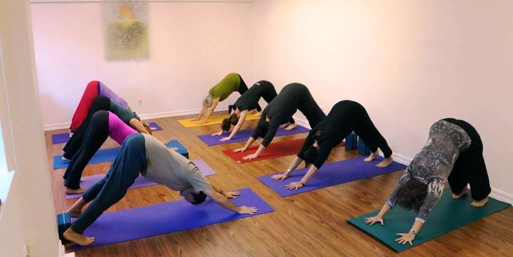 Island Yoga | 1136 Ballena Blvd d, Alameda, CA 94501, USA | Phone: (510) 205-5003