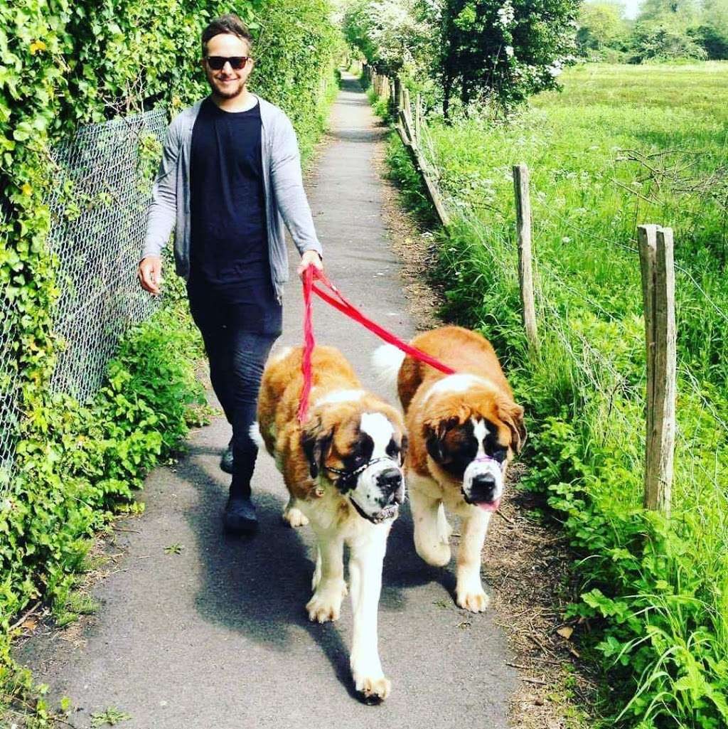 Paws On Tours | 6 Oslin Walk, Kings Hill, West Malling ME19 4GE, UK | Phone: 07874 824261