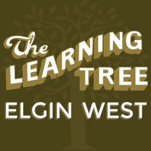 The Learning Tree - Elgin West | 2325 Royal Blvd, Elgin, IL 60123, USA | Phone: (847) 888-4220