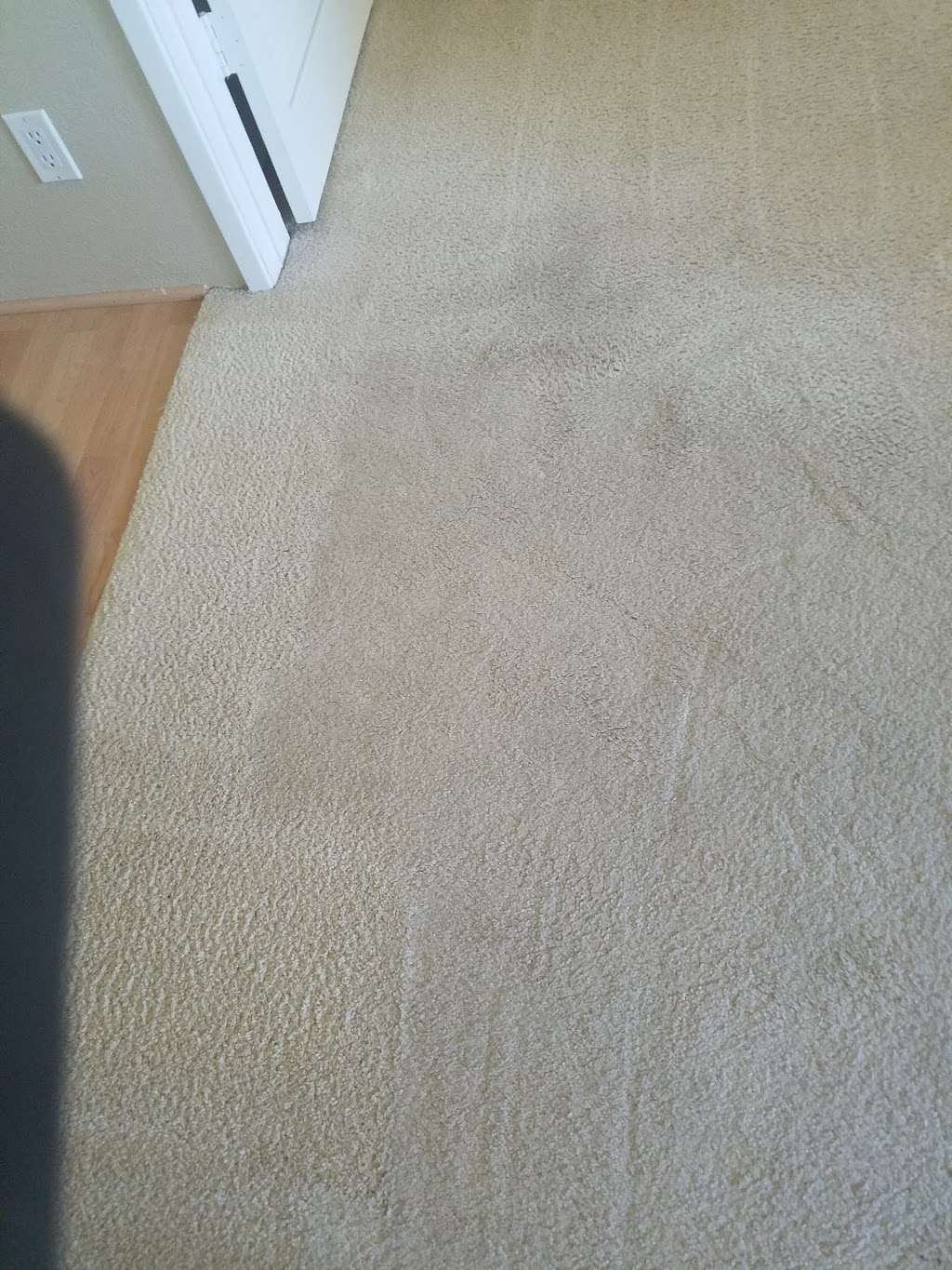 David Amador Carpet Cleaning | 806 Robin Ave, Placentia, CA 92870, USA | Phone: (714) 234-6705