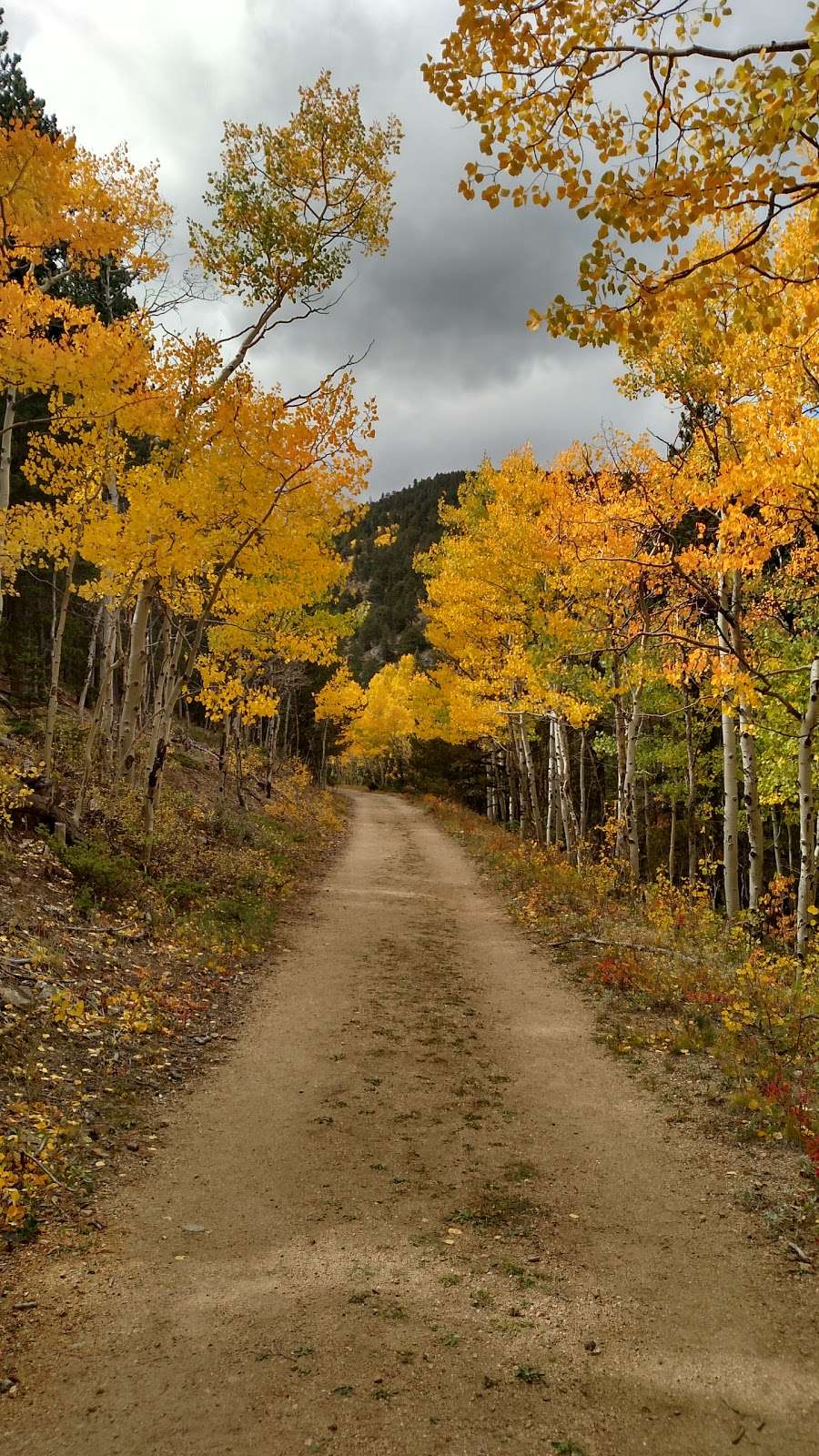 Caribou Ranch Open Space | caribou Rd, Nederland, CO 80466, USA | Phone: (303) 678-6200