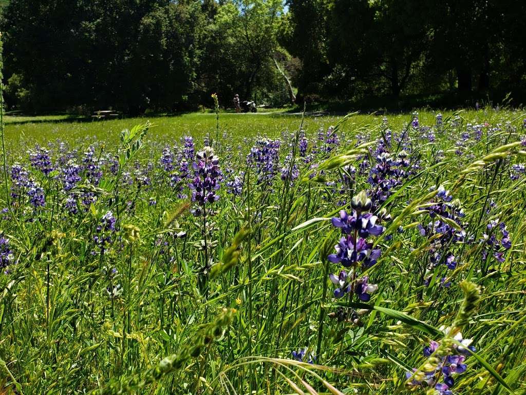 Rancho Cañada del Oro Open Space Preserve | 4289 Casa Loma Rd, Morgan Hill, CA 95037, USA | Phone: (408) 224-7476