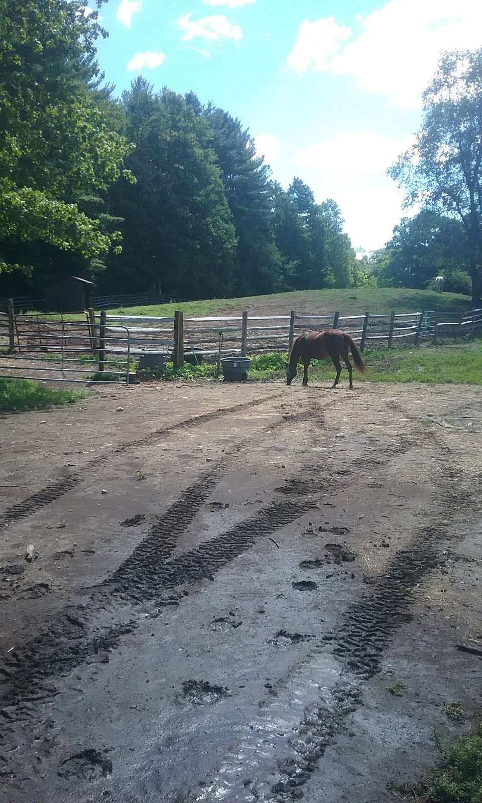 Mack Hill Riding Academy | 3 Mack Hill Rd, Amherst, NH 03031, USA | Phone: (603) 801-0958