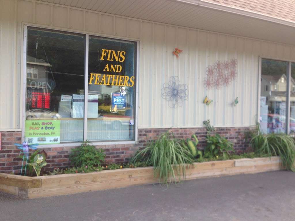 Fins And Feathers | 222 Willow Ave, Honesdale, PA 18431, USA | Phone: (570) 253-3132