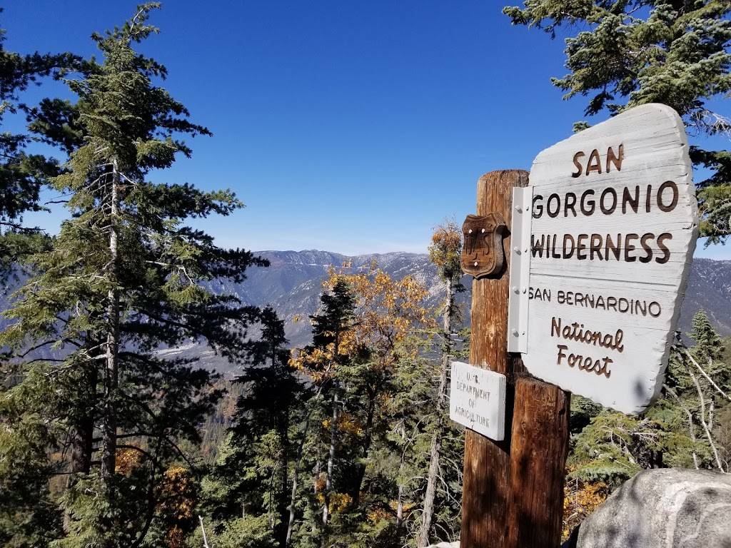 San Gorgonio Wilderness | Angelus Oaks, CA 92305, USA | Phone: (909) 382-2882