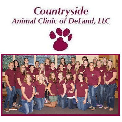 Countryside at the Park Animal Clinic | 1431 Orange Camp Rd #101, DeLand, FL 32724, USA | Phone: (386) 337-7575