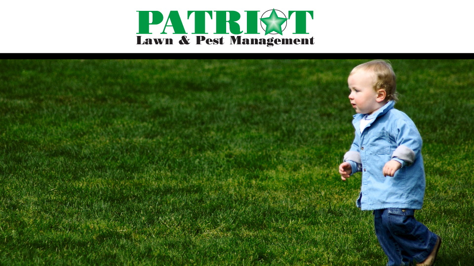 Patriot Pest Management | 57 Chase St #4a, Methuen, MA 01844, USA | Phone: (978) 327-5274