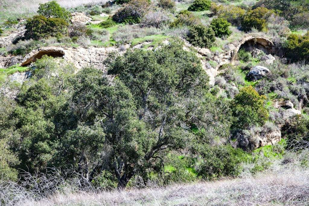 Bommer Canyon Nature Trail | Irvine, CA 92603, USA