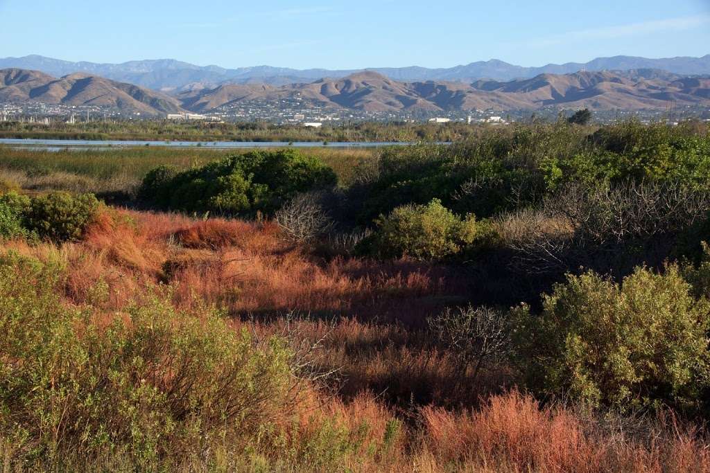 Santa Clara Estuary Natural Preserve | Oxnard, CA 93036, USA