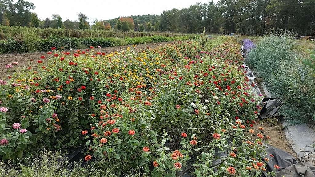 Apple Field Farm Stand | 722 Great Rd, Stow, MA 01775, USA | Phone: (978) 897-2699