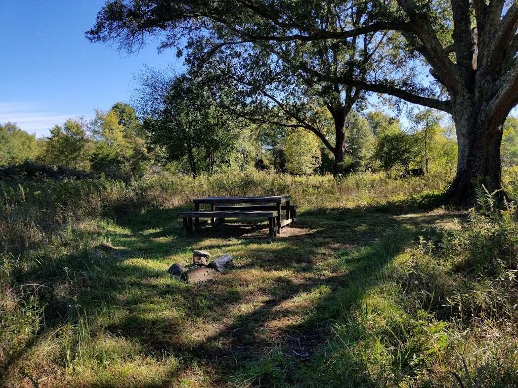 Rock Hill Blackjacks Heritage Preserve/Wildlife Management Area | Rock Hill, SC 29730 | Phone: (803) 734-3886