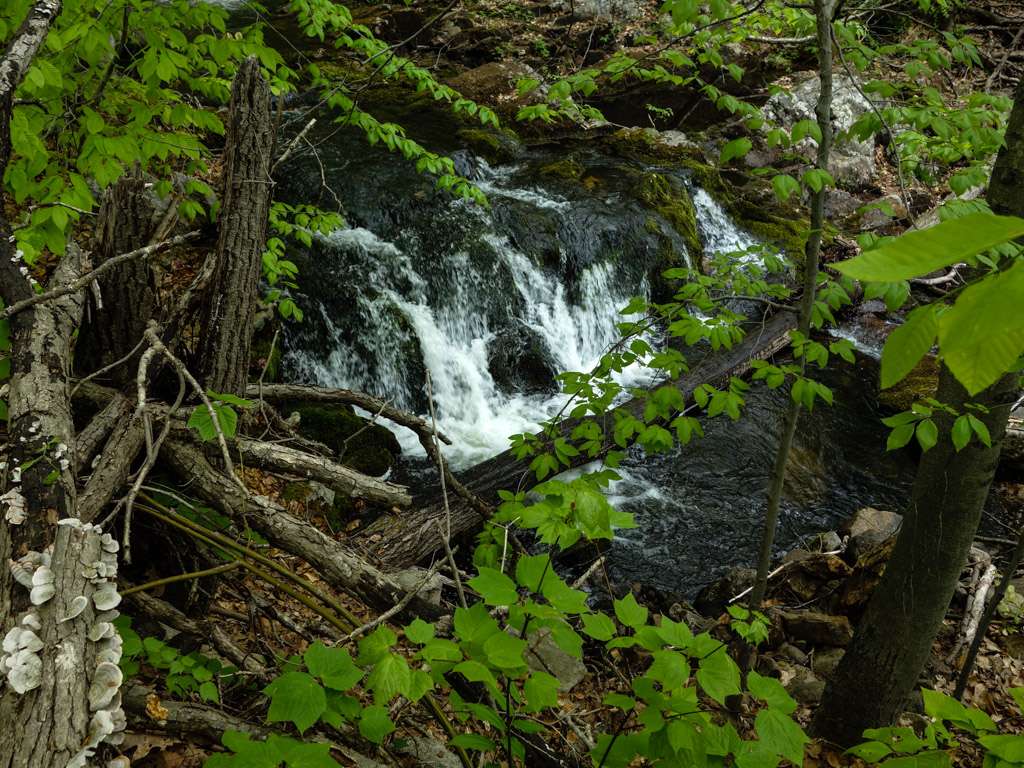 Beach Trail Parking | Stony Point, NY, United States