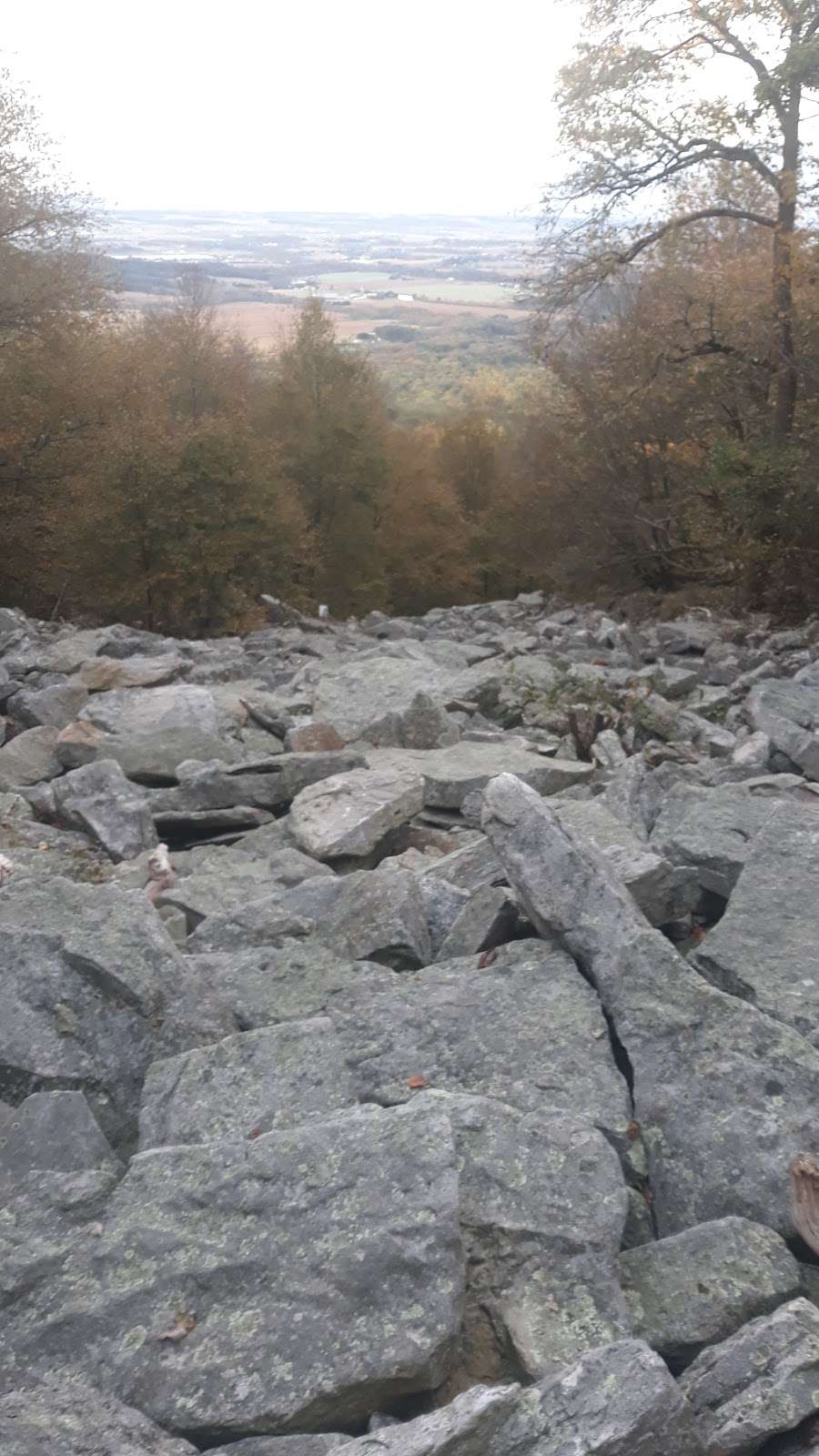 500 STEPS | Appalachian Trail, Bethel, PA 19507, USA