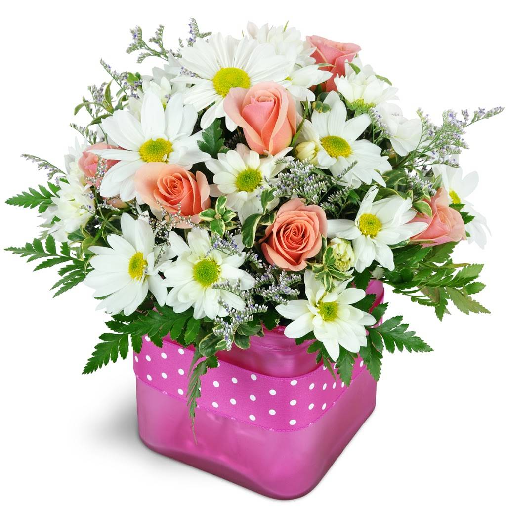 Mamaroneck Flowers | 615 E Boston Post Rd, Mamaroneck, NY 10543, USA | Phone: (914) 698-2585