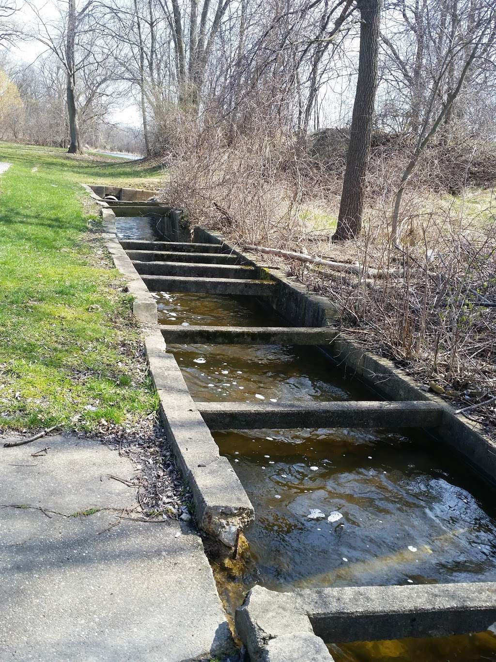 John Margis JR Wildlife Area | 7401 Fish Hatchery Rd, Burlington, WI 53105