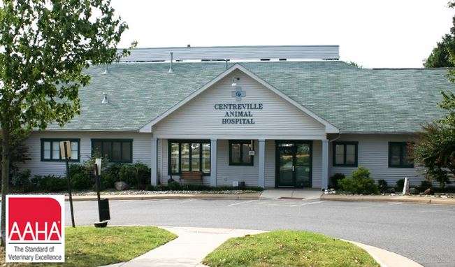 VCA Centreville Animal Hospital | 13663 Lee Hwy, Centreville, VA 20121, USA | Phone: (703) 830-1182
