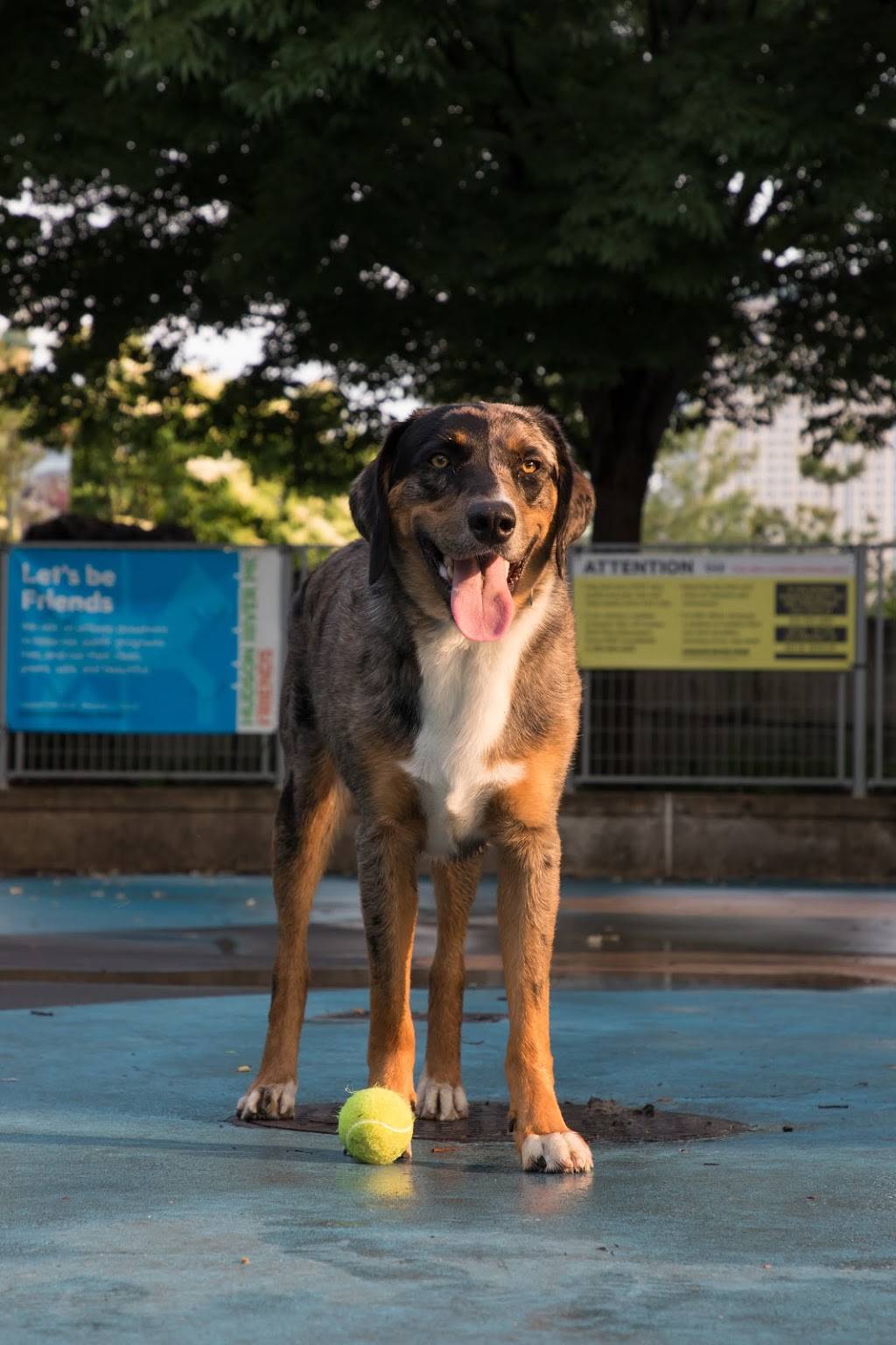 Leroy Street Dog Park | 2, 353 West St, New York, NY 10014, USA | Phone: (212) 627-2020